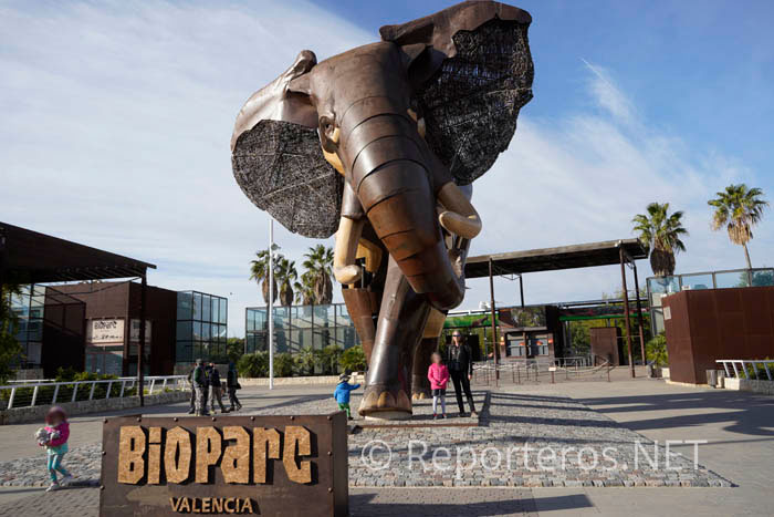 Visita a Bioparc Valencia con niños
