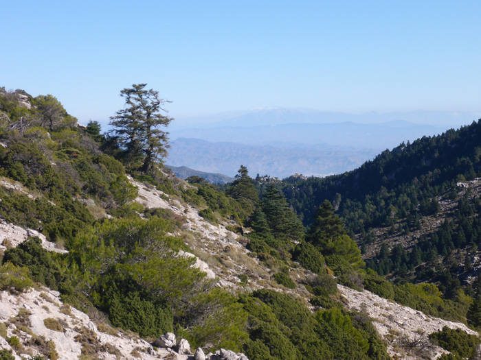 Paisaje Paisaje