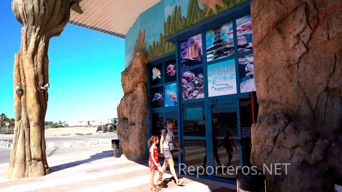 La visita puede durar aproximadamente una hora, aunque puedes quedarte más tiempo La visita puede durar aproximadamente una hora, aunque puedes quedarte más tiempo