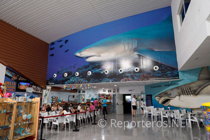 Disponen de tienda de recuerdos y cafetería Disponen de tienda de recuerdos y cafetería