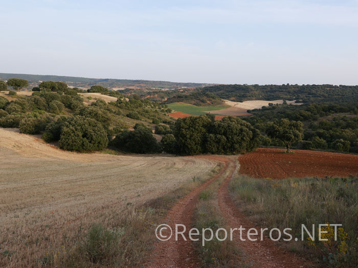 Campos de la Alcarria Campos de la Alcarria
