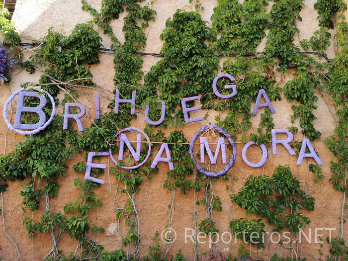 Montaje Brihuega Enamora Montaje Brihuega Enamora