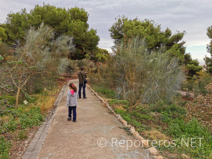 Sendero botánico Detunda en el exterior de la Cueva de Nerja Sendero botánico Detunda en el exterior de la Cueva de Nerja