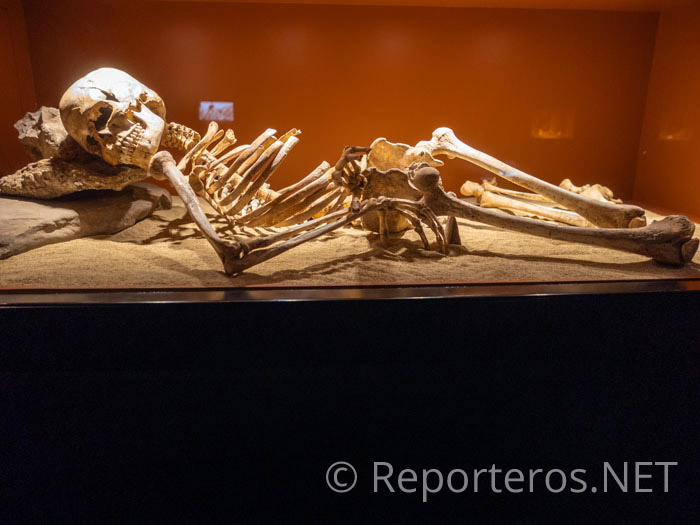Esqueleto completo de una mujer encontrada en la Cueva de Nerja en 1982 Esqueleto completo de una mujer encontrada en la Cueva de Nerja en 1982