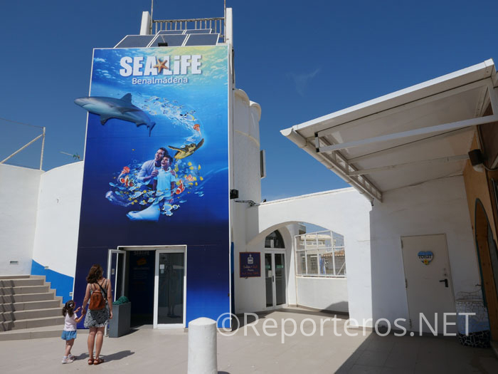 Acceso al acuario Sea Life Benalmádena Acceso al acuario Sea Life Benalmádena