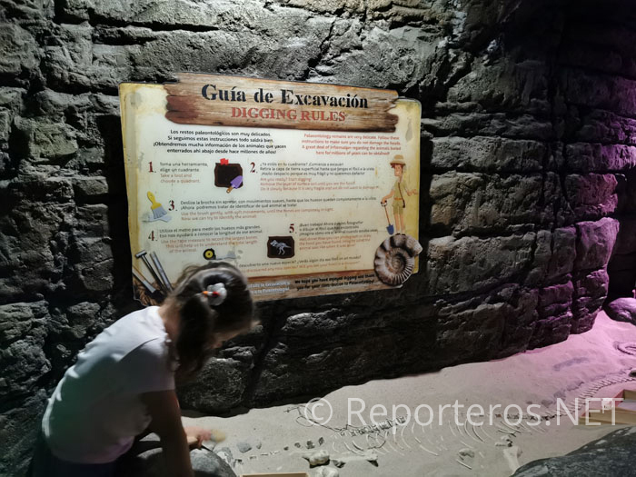 Zona de excavación Zona de excavación