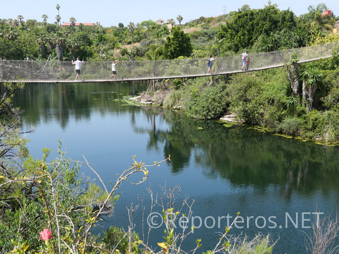 Visita a Selwo Aventura con niños