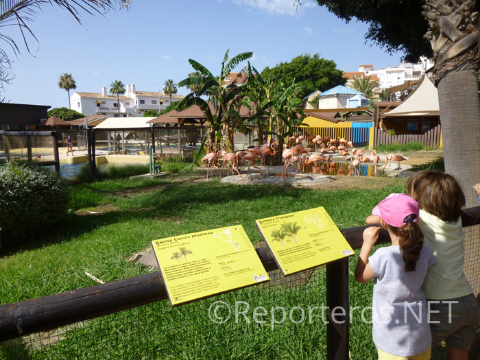 Mirador de los Flamencos Mirador de los Flamencos