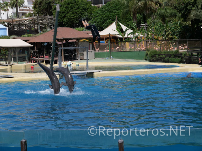 Otro difícil número de sincronización y salto Otro difícil número de sincronización y salto