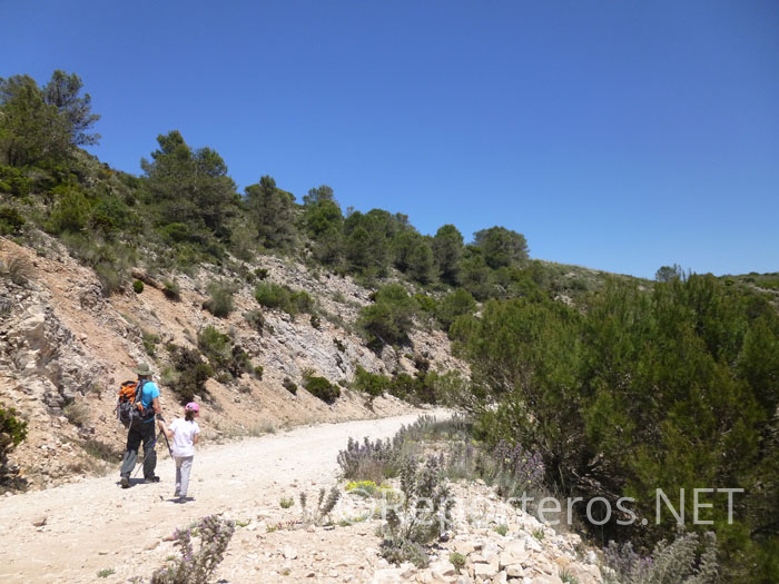Sendero hacia el Mirador del Lobo Sendero hacia el Mirador del Lobo