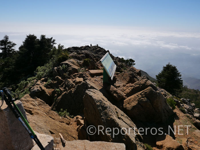 Cumbre de los Reales de Sierra Bermeja Cumbre de los Reales de Sierra Bermeja