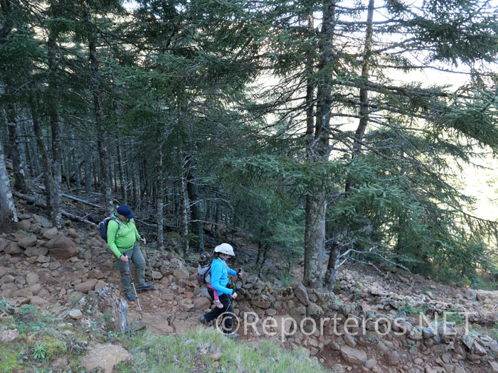 Inicio de sendero en bajada Inicio de sendero en bajada