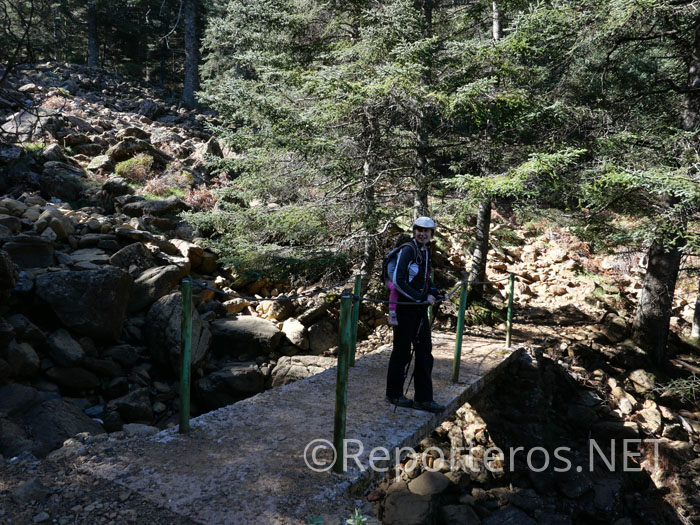 Puente en el barranco del Algarrobo Puente en el barranco del Algarrobo