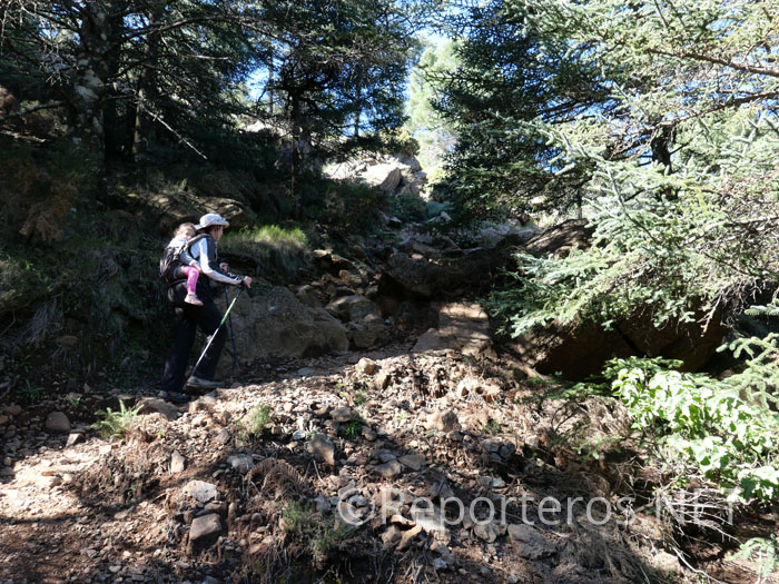 Subiendo ahora por el sendero de Los Realillos Subiendo ahora por el sendero de Los Realillos