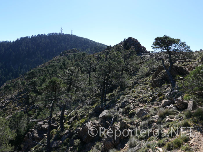 Ya vemos las antenas del pico de Los Reales Ya vemos las antenas del pico de Los Reales