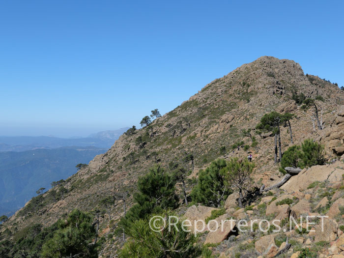 Pico de Los Realillos, antes de la cumbre Pico de Los Realillos, antes de la cumbre