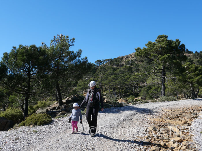 Bajada por la pista cerca de la cumbre Bajada por la pista cerca de la cumbre