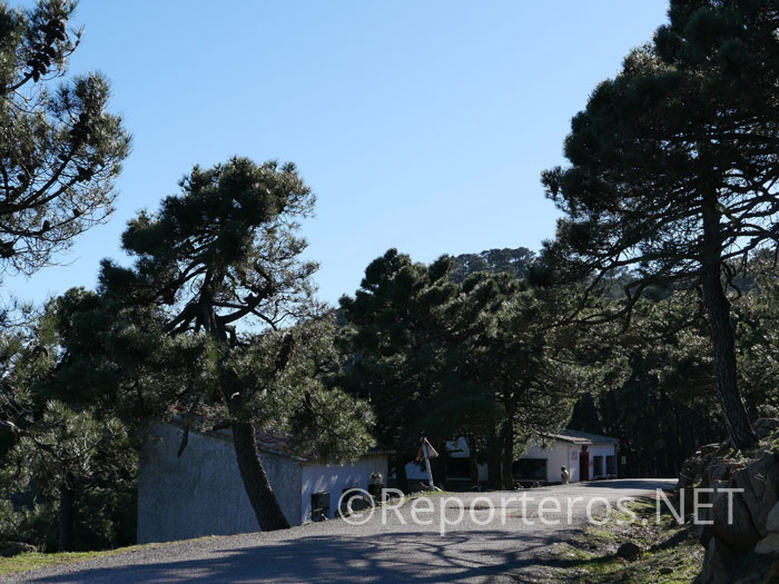 Refugio y área recreativa de Los Reales Refugio y área recreativa de Los Reales