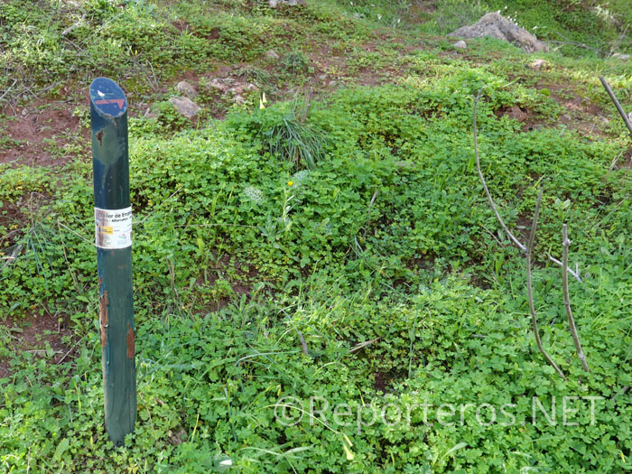 Detalle de las balizas de la ruta 2 de Almogía Detalle de las balizas de la ruta 2 de Almogía