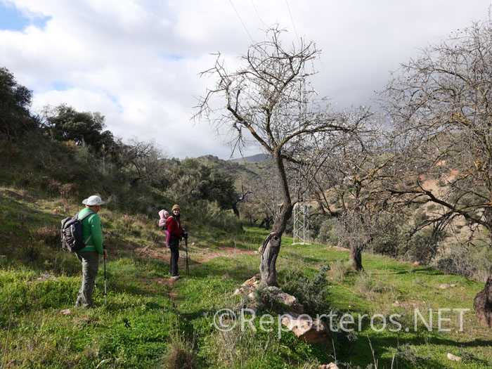 Comienzo del sendero tras dejar el camino. Algo confuso Comienzo del sendero tras dejar el camino. Algo confuso