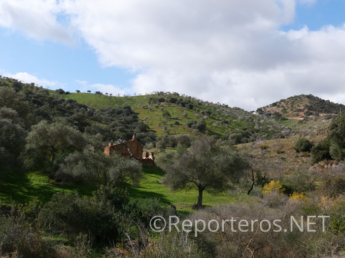 Ruinas de cortijo tras vadear el arroyo Ruinas de cortijo tras vadear el arroyo
