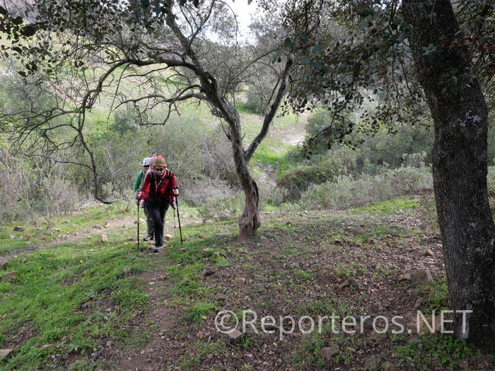 Tramo de sendero en subida hasta conectar con otra pista Tramo de sendero en subida hasta conectar con otra pista