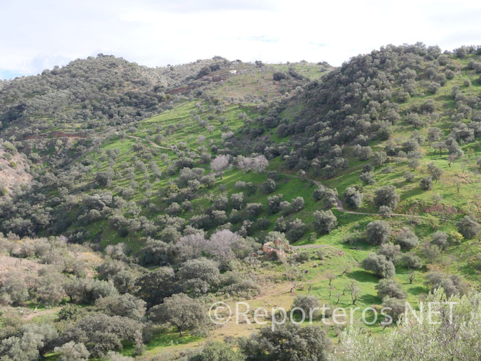 Detalle de la subida que tendremos que hacer a la cuerda del cerro Buenavista Detalle de la subida que tendremos que hacer a la cuerda del cerro Buenavista