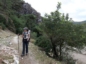 Sendero de Las Libélulas en Benahavís Sendero de Las Libélulas en Benahavís