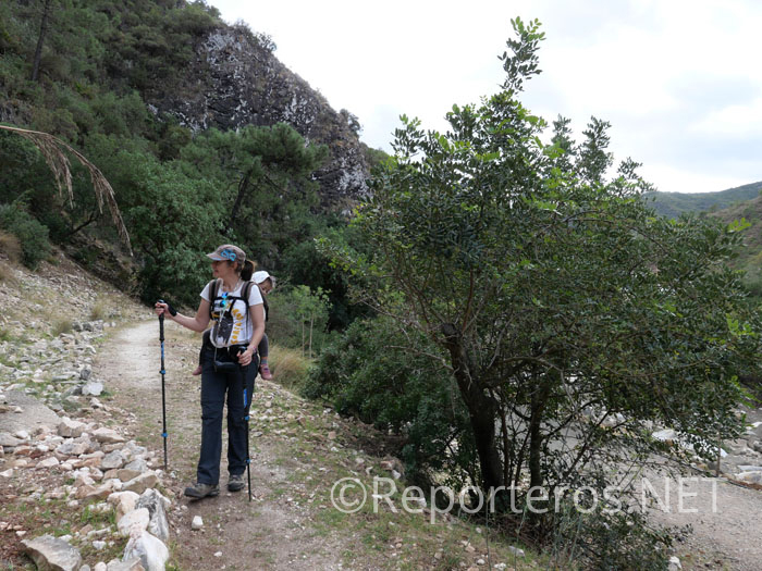 Sendero de Las Libélulas en Benahavís Sendero de Las Libélulas en Benahavís