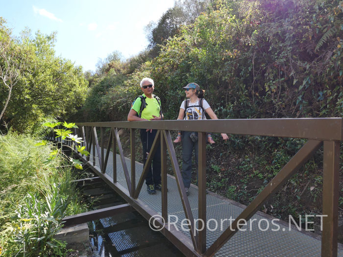Pasarela en el sendero junto al río Pasarela en el sendero junto al río