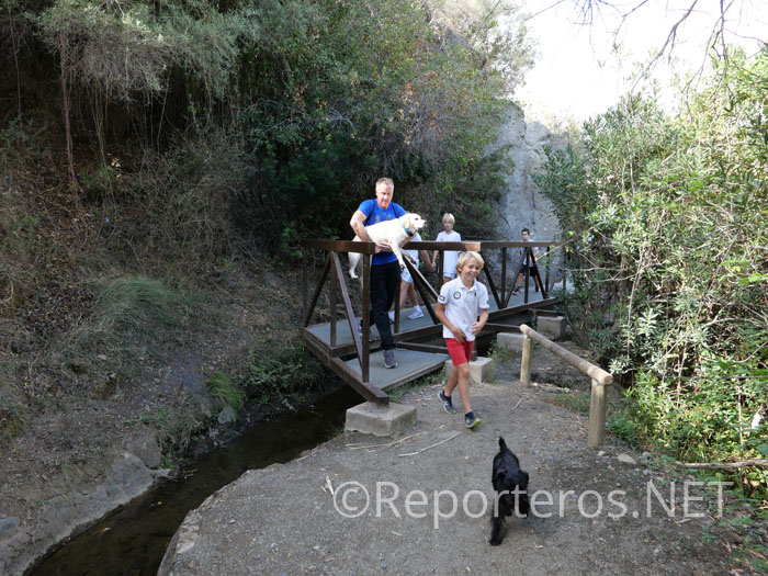 Pasarela en el sendero junto al río Pasarela en el sendero junto al río