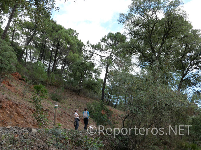 Continuando cerca del embalse del Guadalmina continuando cerca del embalse del Guadalmina