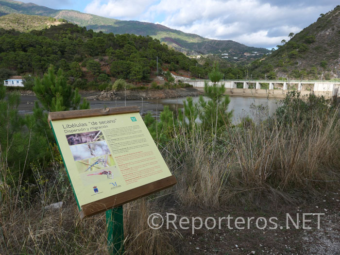 Zona de regreso e información de libélulas de secano Zona de regreso e información de libélulas de secano