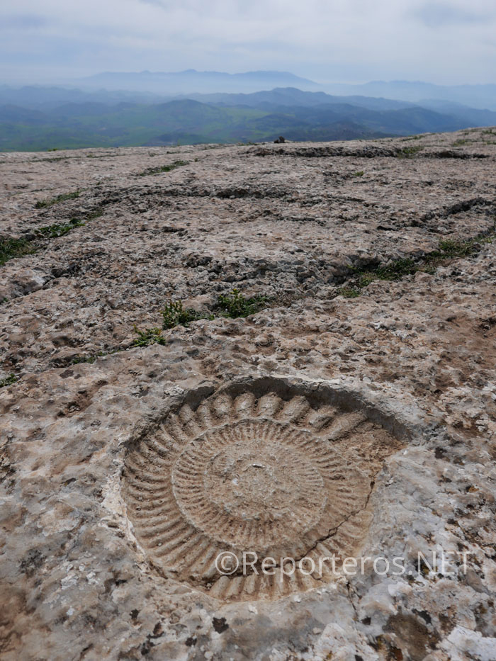 Fósil de ammonite y vistas al valle del Guadalhorce Fósil de ammonite y vistas al valle del Guadalhorce