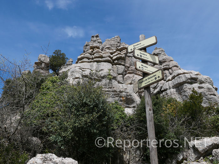 Poste con indicaciones bifurcación ruta verde y amarilla Poste con indicaciones bifurcación ruta verde y amarilla