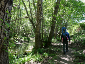 Sendero de La Mariposa Monarca Sendero de La Mariposa Monarca