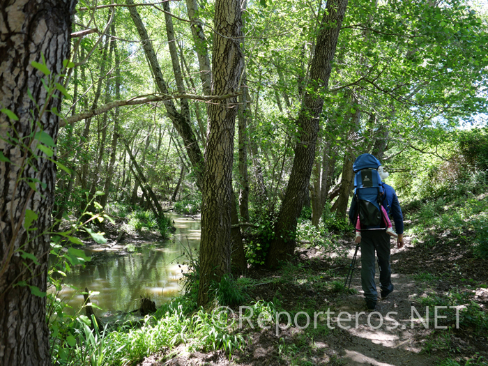 Sendero de la Mariposa Monarca