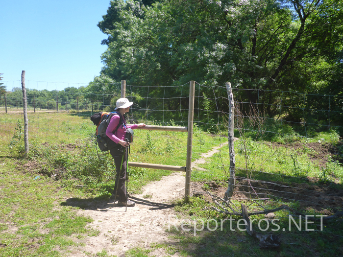 Paso de valla Paso de valla