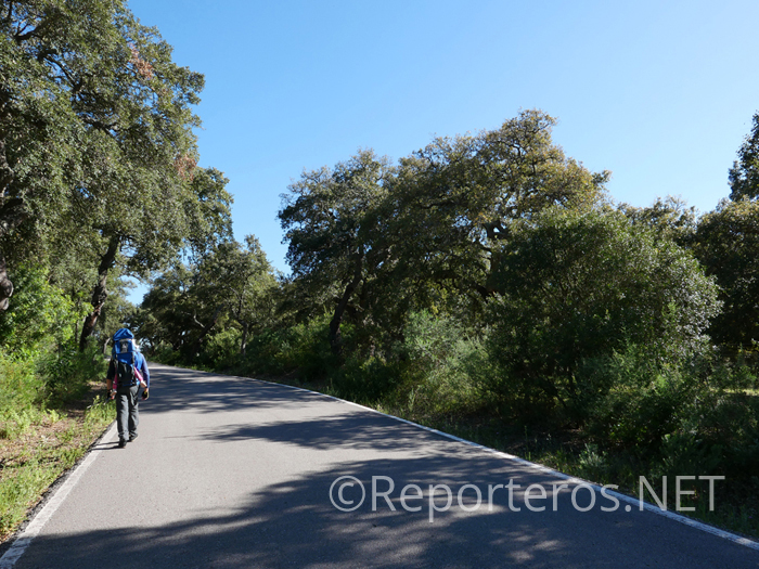Quinientos metros por carretera antes de tomar el desvío del Canal Quinientos metros por carretera antes de tomar el desvío del Canal