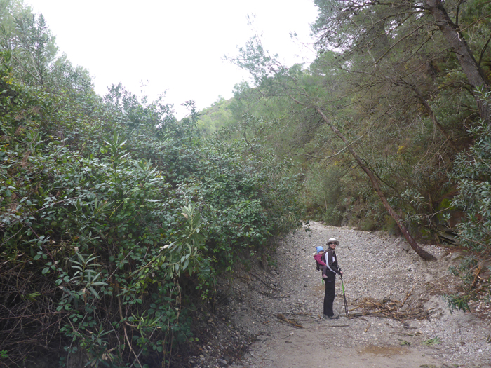 Inicio de ruta. Vereda de la Coscoja Inicio de ruta. Vereda de la Coscoja