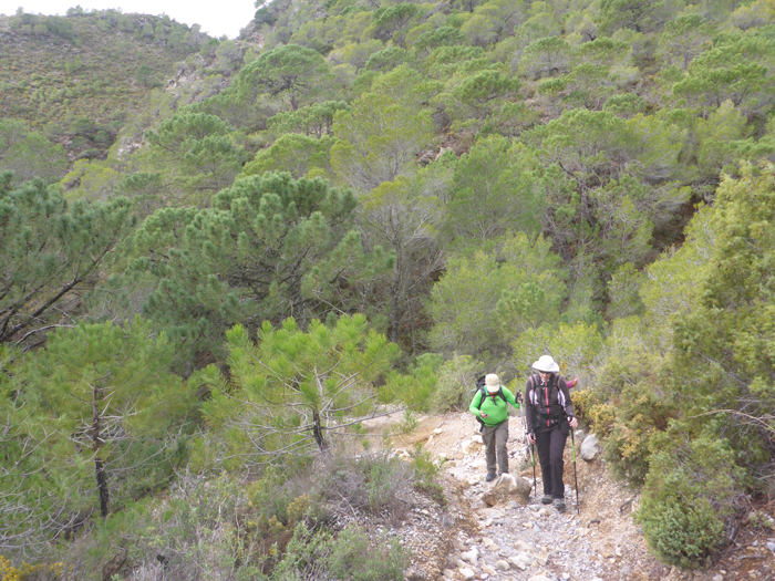 Llegada a pista Frigiliana - Torrox Llegada a pista Frigiliana - Torrox
