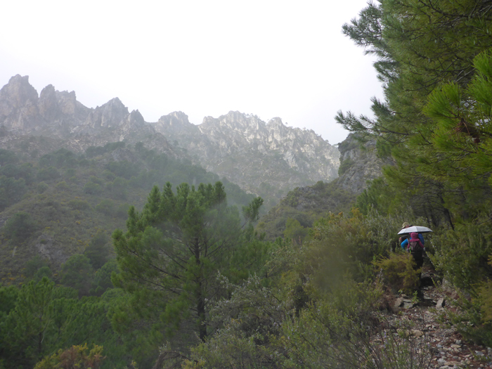 Sendero a Pto Frigiliana Sendero a Pto Frigiliana