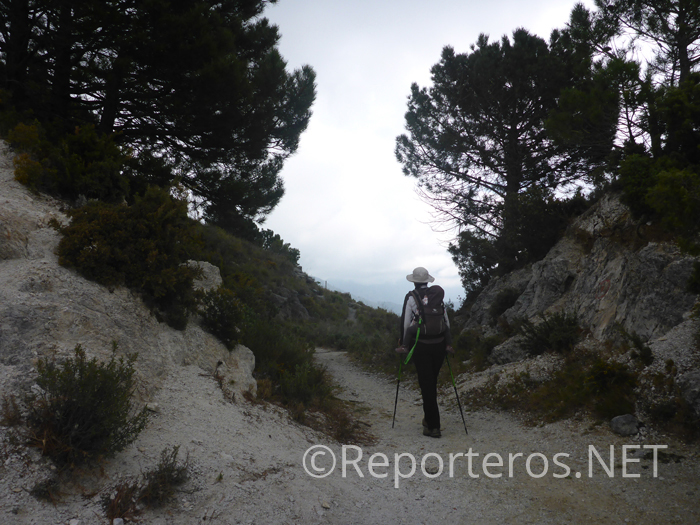 Entrada al sendero de Las Ventas de Cómpeta Entrada al sendero de Las Ventas de Cómpeta