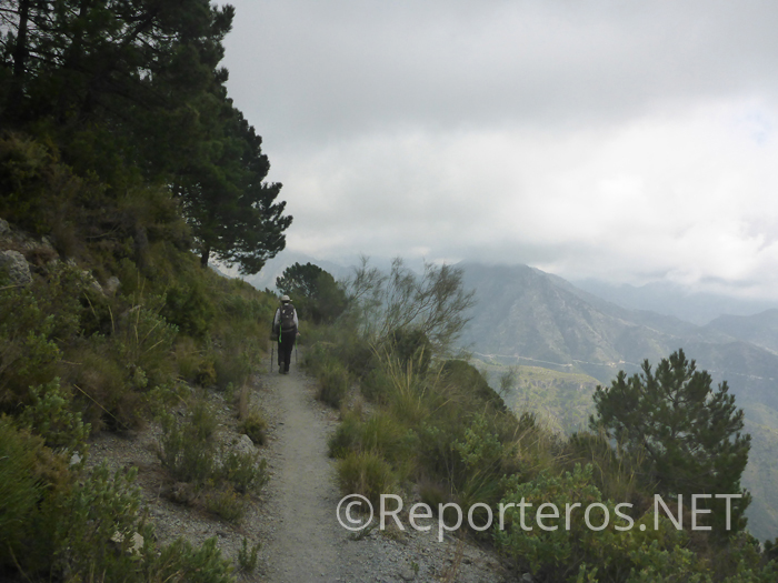 Inicio de sendero, cómodo y paisajístico Inicio de sendero, cómodo y paisajístico