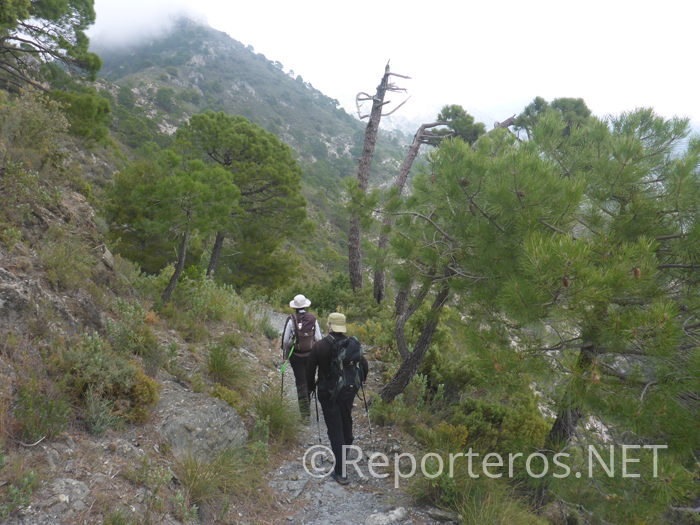 Discurriendo por el sendero de las Ventas de Cómpeta Discurriendo por el sendero de las Ventas de Cómpeta