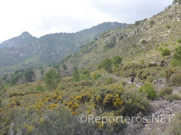 Continuamos por sendero hacia Loma del Daire Continuamos por sendero hacia Loma del Daire
