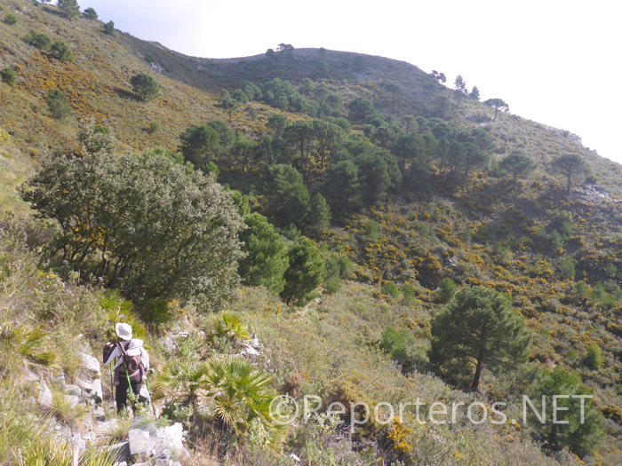 Por la loma del Daire Por la loma del Daire