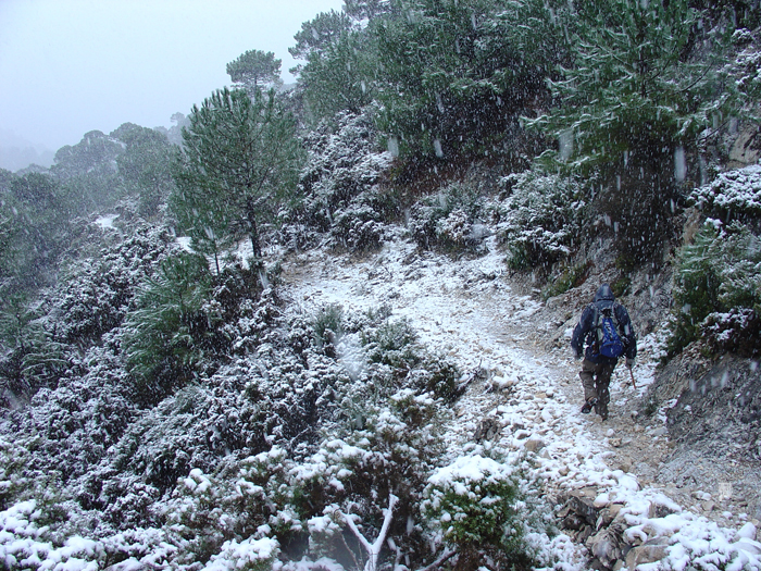 Nevada en Sendero de las ventas Nevada en Sendero de las ventas