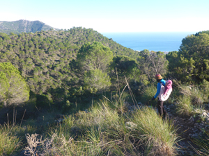 Senderismo con niños en la Costa del Sol. Subida al Pico Málaga o Mendoza Senderismo con niños en la Costa del Sol. Subida al Pico Málaga o Mendoza