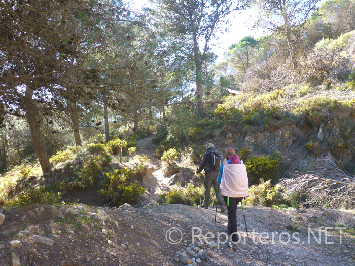 Inicio subida mirador Cantera Inicio subida mirador Cantera